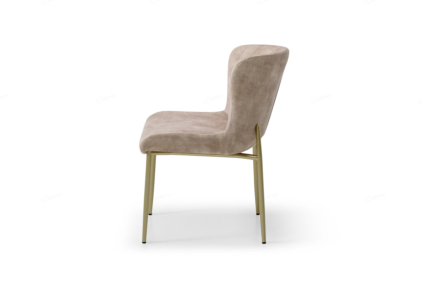 Pair of Amara Velvet Dining Chairs – Champagne Upholstered with Modern Tapered Legs