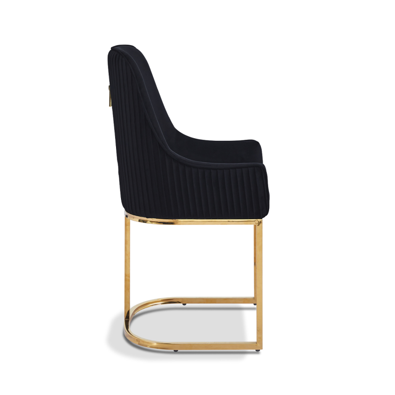 Pair of Reis Velvet Dining Chairs with Gold Legs – Modern Luxe Seating